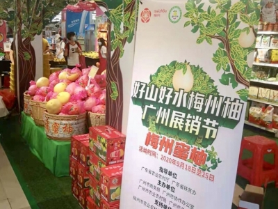 挡不住的“柚”惑！这场梅州柚展销活动在广州启动...