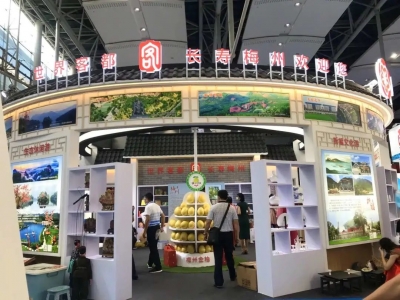 圈粉无数！大埔青花瓷、埔娃娃、蜜柚亮相广东国际旅博会