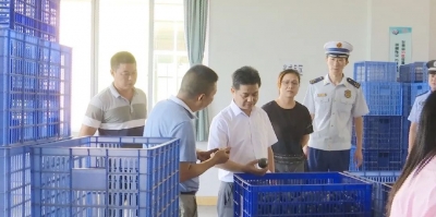 张伟杰带队深入蕉华工业园区企业开展节前安全生产检查