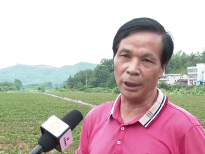 投入帮扶资金3.5亿！五华“万企帮万村”产业扶贫结硕果