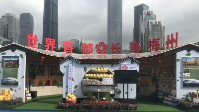 丰收的梅州亮相羊城！欢迎来品梅州柚、嘉应茶、客都米，还有...