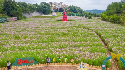 抓住“双节”机遇！梅州这些景区酒店已经get ready！