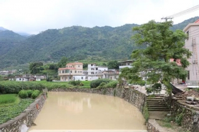 朱汉东到枫朗镇上木村调研：大力推进“乡贤回归工程” 共建共治共享美丽宜居家园