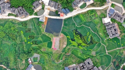 时评丨这条“锦鲤”赋予乡村振兴新内涵