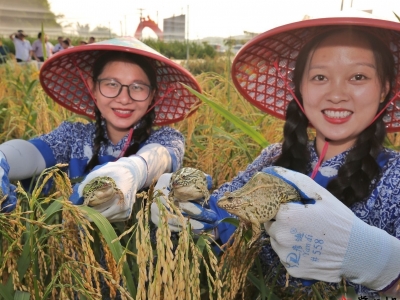 丰收，欢笑！梅县区这个主题摄影大赛今日启动