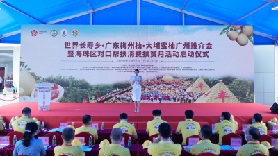 梅州柚•大埔蜜柚等你来淘~海珠区对口帮扶消费扶贫月活动今日启动！