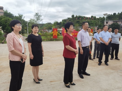 陈元星率队开展市政协重点提案督办调研