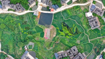 “鲤鱼”跃龙门，古村庆丰收！来看梅江田野“新作”→