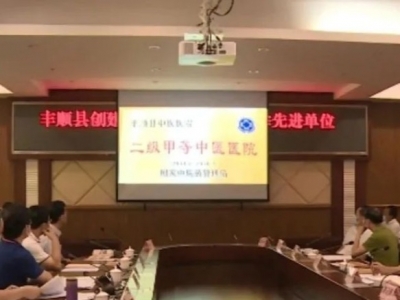 丰顺创建全国基层中医药工作先进单位接受国家级评审