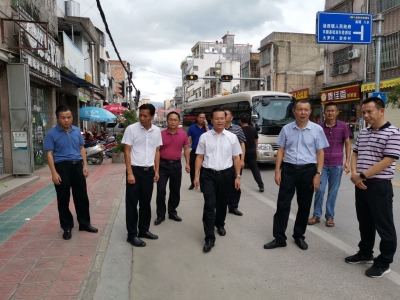 曾永祥率队到汤西镇调研督导文明镇村创建工作