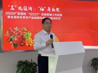 2020“柚”再出发！预计今年梅州柚（蜜柚）产量达50万吨以上