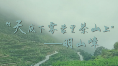 梅州V视丨生态明山嶂：巍巍一高山，云蒸雾绕，林木成群