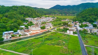 茶叶采下来，日子甜起来！小密村茶田铺就小康路