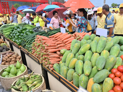 时评丨为丰收喝彩 为小康加油