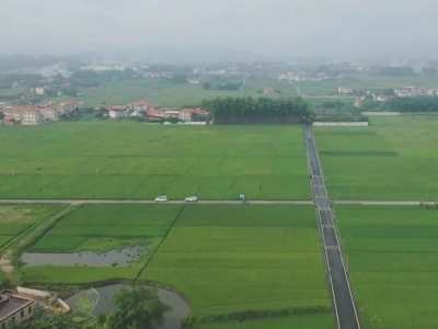 “米袋子”鼓起“钱袋子”！请收下这幅“寿乡”丰收图→