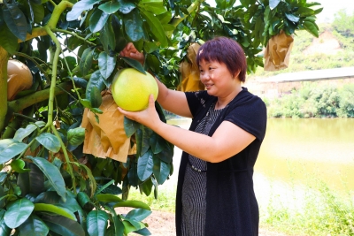 进城“农村妹”→返乡“新农人”！来看她带领村民共奔致富路的故事...