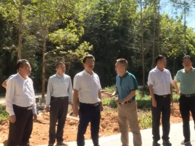 廖茂忠率队调研督导G235线巡视整改工作