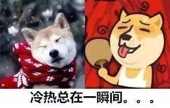 有台风+弱冷空气要来？别慌，注意添衣就好...