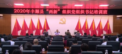 提升整体素质！丰顺县“两新”组织党组织书记集中“充电”