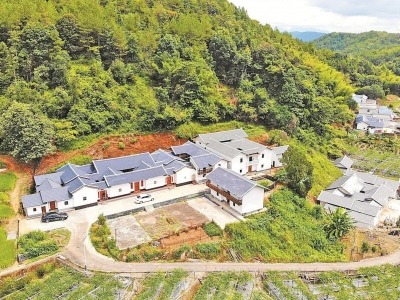 学习笃行丨用“三精”做强“三农” 实现脱贫加快奔康