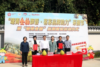 金柚飘香，企业助销！梅江区塘青村与梅州市臻尚食品有限公司签订合作协议