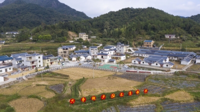 “诗和远方”在家乡！一墙一屋一美景，平远美丽乡村的“星星之火”正在点燃...