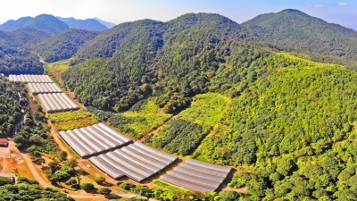 平远在全省率先实行林长制改革！绿色来袭，一起看看这绿水青山“样本”~