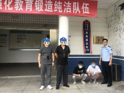 提供银行卡号为不法分子代收赃款？抓！