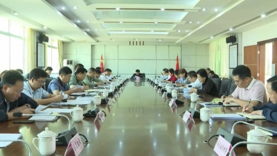 平远县委常委会召开会议学习习近平总书记视察广东重要讲话精神：举全县之力服务融入“双区”建设