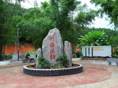 53天旧貌换新颜 五华齐乐村的“变形记”了解一下？