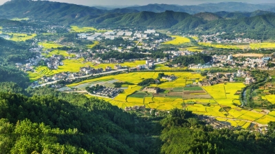 望得见山，看得见水，记得住乡愁！梅县正在用心描绘一幅诗画蓝图...