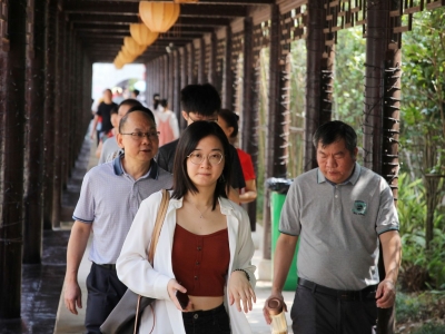 特色小镇人气旺！想体验乡村生活？来这里就对了