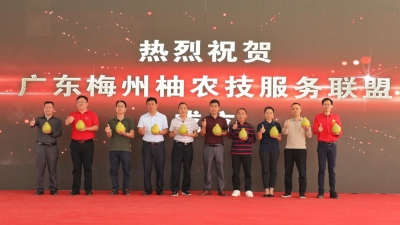打响梅州柚品牌！梅州柚产业农资推介会在梅县区举行