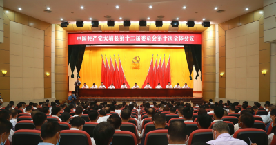 大埔县召开县委十二届十次全会