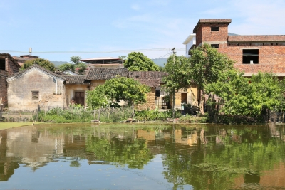 值得历史记载的林商翼一家人