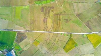 你没见过的，林风眠纪念馆亮相！一并欣赏下大师画中神秘女子→