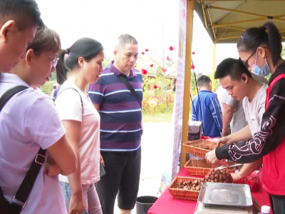 体育+旅游大餐火爆！五华“双节”假期旅游收入达14207万元