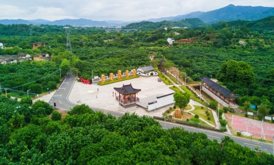 户户有产业，人人有事干！梅县区这个“亿元村”幸福指数节节高