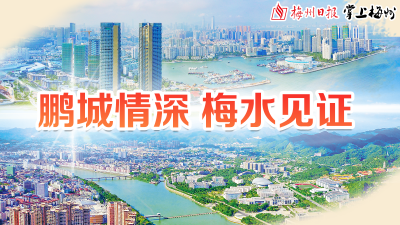 鹏城情深 梅水见证！一文数说深圳梅州两地交流往来~