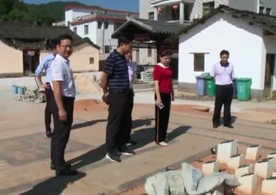 大埔县政协督查组对该县重点项目开展专项督查