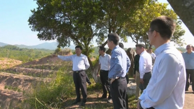 宋才华：持续改善农村人居环境，加快现代农业产业体系建设