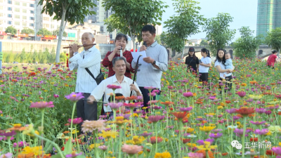 五华这里有百日草花海，快来邂逅这一方浪漫~
