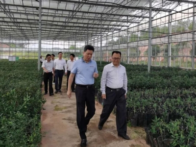 杨栋率队调研省级现代农业产业园建设