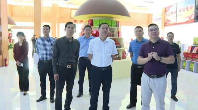 洪国华：落实责任 强化服务 助力民营企业做强做大做优