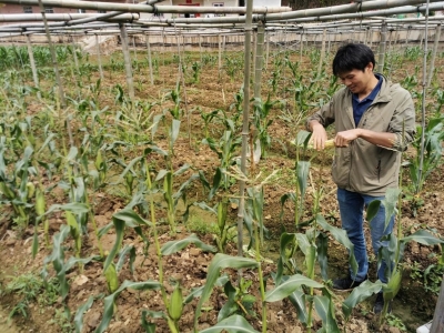 梅县区七朱村：脱贫摘帽奔向更加美好新生活