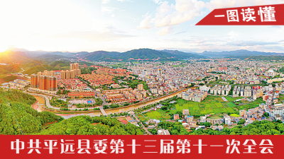 平远县委全会报告都讲了啥？接下来怎么干？这里有一图读懂~