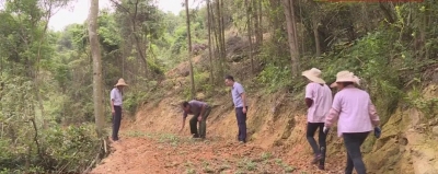 埋头种地也抬头看天~这位“90后”新农人，带领乡亲们闯出了致富路...