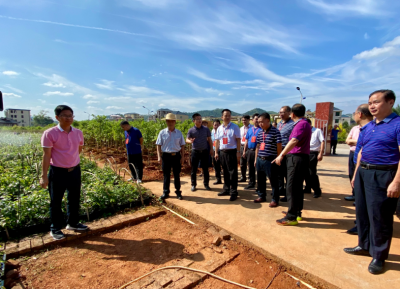 市政协委员开展脱贫攻坚乡村振兴情况专题调研视察：持续巩固脱贫成果 大力推动乡村振兴