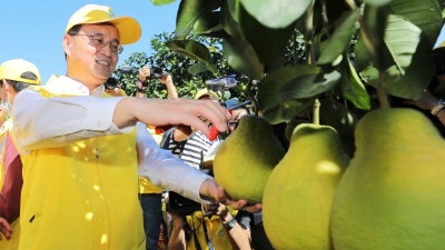 市长“带盐”！2020年广东梅州柚·梅县金柚今日鸣锣开采！