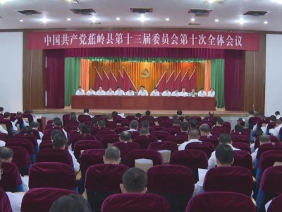 蕉岭县委十三届十次全会胜利闭幕